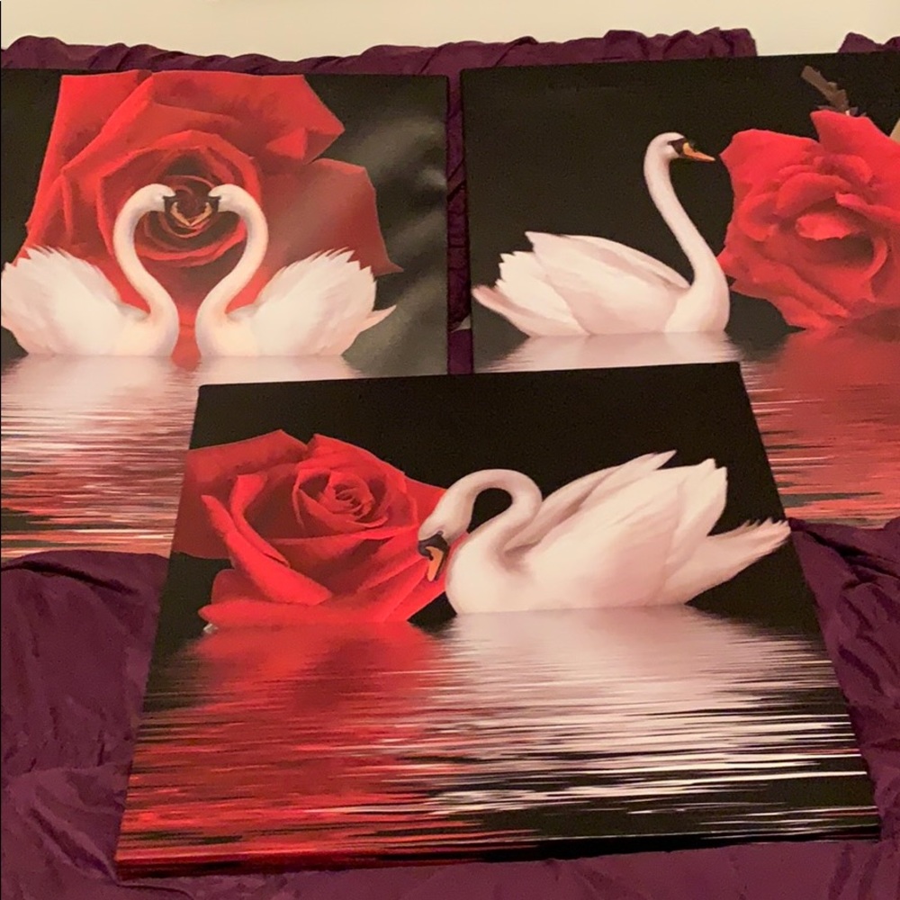 Home decor. Swan canvas pictures. Set of 3